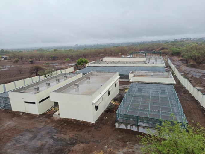 Now on the lines of Pune, updated wildlife treatment will be done in Nashik; Construction of transit treatment center completed | पुण्याच्या धर्तीवर नाशिकमध्ये होणार वन्यजीवांवर अद्ययावत उपचार; ट्रान्सिट ट्रीटमेंट सेंटरचे बांधकाम पूर्ण Now on the lines of Pune, updated wildlife treatment will be done in Nashik; Construction of transit treatment center completed | पुण्याच्या धर्तीवर नाशिकमध्ये होणार वन्यजीवांवर अद्ययावत उपचार; ट्रान्सिट ट्रीटमेंट सेंटरचे बांधकाम पूर्ण