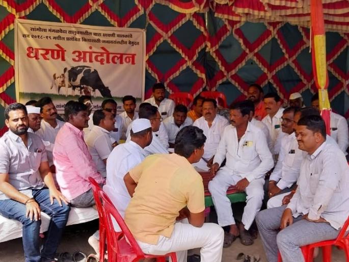 Camp drivers in Sangolya with Mangala Vedha for overdue bills | मंगळवेढासह सांगोल्यातील छावणी चालकांचा थकीत बिलासाठी धरणे Camp drivers in Sangolya with Mangala Vedha for overdue bills | मंगळवेढासह सांगोल्यातील छावणी चालकांचा थकीत बिलासाठी धरणे