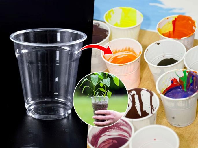 4 Things to Do with Plastic Cups | युज ॲण्ड थ्रोवाले प्लास्टिक कप फेकू नका; ४ स्मार्ट उपयोग-प्लास्टिक कचराही होईल कमी