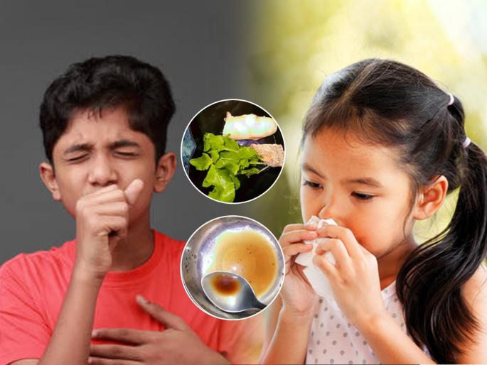 Home remedies for cold- cough to kids, How to cure cold and cough without medicine, 1 best solution for cold- cough during rainy days | मुलांना सर्दी- खोकला झाला? उघडा आजीबाईंचा बटवा- ३ पदार्थ करतील औषधांचं काम - त्रास होईल कमी