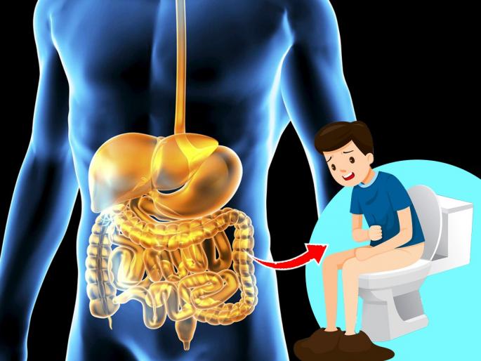 Five Fruits with High Fiber to Treat Constipation : foods that can help you poop and relieve constipation | पोट साफ होत नाही, जोर लावावा लागतो? ४ उपाय, कॉन्स्टिपेशनचा त्रास होईल कमी -पोट होईल साफ