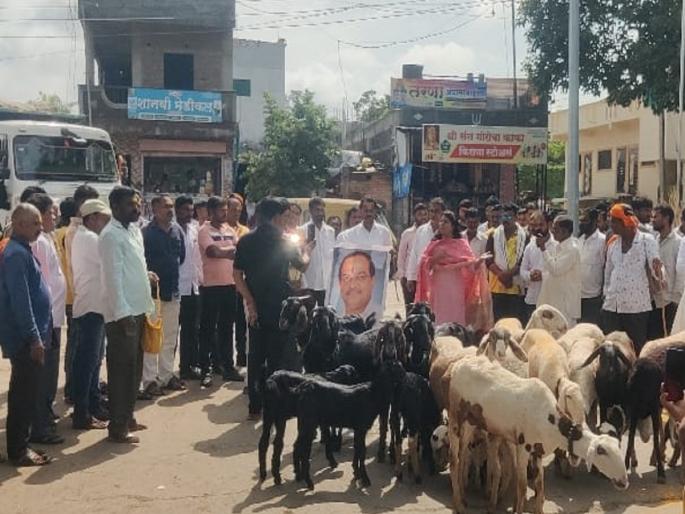 Sheep were slaughtered in the streets, effigies of ministers were burnt; Dhangar community aggressive for ST reservation | रस्त्यावर मेंढरं साेडली, मंत्र्याचा पुतळा जाळला; एसटी आरक्षणासाठी धनगर समाज आक्रमक Sheep were slaughtered in the streets, effigies of ministers were burnt; Dhangar community aggressive for ST reservation | रस्त्यावर मेंढरं साेडली, मंत्र्याचा पुतळा जाळला; एसटी आरक्षणासाठी धनगर समाज आक्रमक