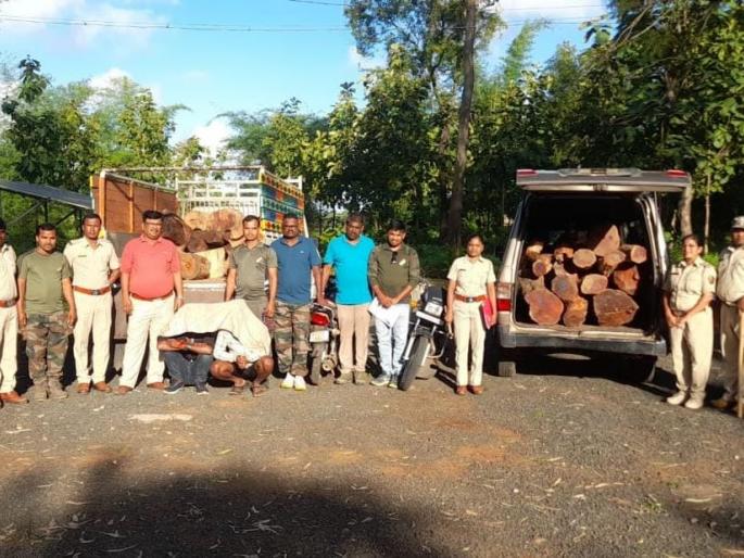 'Pushpa' gangs and forest teams face off in border forests; Barhe of Nashik, Harsul forest teams seized 155 pieces of Khaira! | बॉर्डरच्या जंगलात ‘पुष्पा’गँग अन् वन पथके आमने-सामने; नाशिकच्या बाऱ्हे, हरसूल वन पथकांनी खैराचे १५५ नग केले जप्त! 'Pushpa' gangs and forest teams face off in border forests; Barhe of Nashik, Harsul forest teams seized 155 pieces of Khaira! | बॉर्डरच्या जंगलात ‘पुष्पा’गँग अन् वन पथके आमने-सामने; नाशिकच्या बाऱ्हे, हरसूल वन पथकांनी खैराचे १५५ नग केले जप्त!