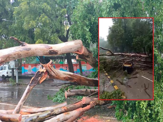 Incessant rain in Chhatrapati Sambhajinagar since morning, an old tree was uprooted on railway station road | छत्रपती संभाजीनगरात सकाळपासून संततधार पाऊस, रेल्वे स्टेशनरोडवर जुने झाड उन्मळून पडले Incessant rain in Chhatrapati Sambhajinagar since morning, an old tree was uprooted on railway station road | छत्रपती संभाजीनगरात सकाळपासून संततधार पाऊस, रेल्वे स्टेशनरोडवर जुने झाड उन्मळून पडले