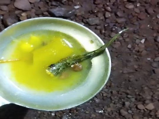 dead lizard found in school food more than 100 children fell ill after eating food admitted to hospital | खळबळजनक! शाळेच्या जेवणात सापडली पाल; अन्न खाल्ल्याने 100 हून अधिक मुलं आजारी dead lizard found in school food more than 100 children fell ill after eating food admitted to hospital | खळबळजनक! शाळेच्या जेवणात सापडली पाल; अन्न खाल्ल्याने 100 हून अधिक मुलं आजारी
