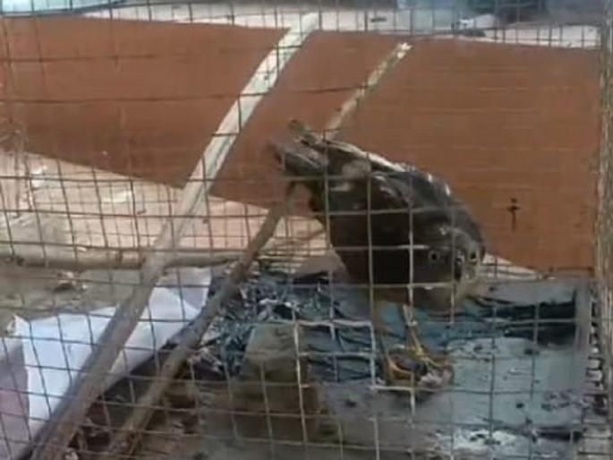 White-eyed eagle soars again after treatment | पांढऱ्या डोळ्यांच्या गरुडाची उपचारानंतर पुन्हा गगनभरारी White-eyed eagle soars again after treatment | पांढऱ्या डोळ्यांच्या गरुडाची उपचारानंतर पुन्हा गगनभरारी