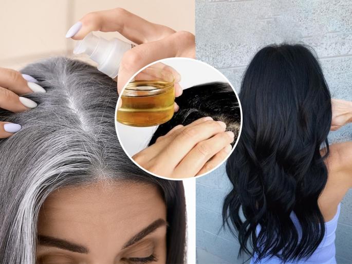 Ayurvedic solution for white or gray hair, Just 2 ingredients for turning your gray hair black in just 1 month | पांढरे केस नैसर्गिक पद्धतीने काळे करण्याचा आयुर्वेदिक उपाय, फक्त २ पदार्थ वापरा- पांढऱ्या केसांचं टेन्शनच सोडा