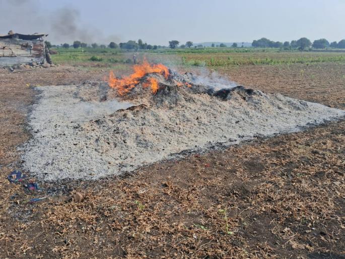 A fire set by an unknown person; Five acres of soybean paddy burned | अज्ञाताने लावली आग ; पाच एकरातील सोयाबीनची गंजी जळून खाक A fire set by an unknown person; Five acres of soybean paddy burned | अज्ञाताने लावली आग ; पाच एकरातील सोयाबीनची गंजी जळून खाक