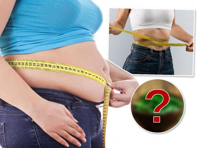 Weight loss: Want to burn fat? Chew on curry leaves! | हातपाय सडपातळ पण पोट वाढतच चाललंय? खाऊन पाहा कडीपत्त्याची पानं, काही महिन्यात पोट सपाट