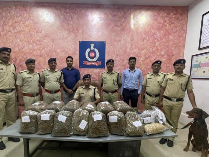 Dog found 26 kg of ganja, action of railway security force! | कुत्र्याने शोधला २६ किलो गांजा, रेल्वे सुरक्षा बलाची कारवाई! Dog found 26 kg of ganja, action of railway security force! | कुत्र्याने शोधला २६ किलो गांजा, रेल्वे सुरक्षा बलाची कारवाई!