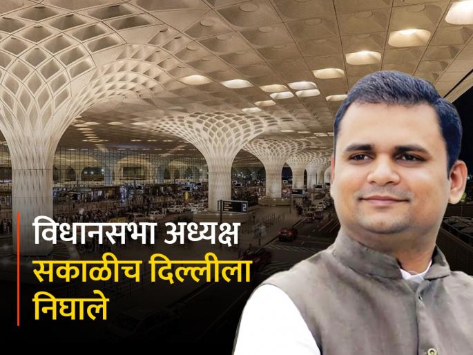 Rahul Narvekar left for Delhi early in the morning; Legal advice, will discuss with Tushar Mehta | राहुल नार्वेकर सकाळीच दिल्लीला निघाले; कायदेशीर सल्ला, तुषार मेहतांशी चर्चा करणार Rahul Narvekar left for Delhi early in the morning; Legal advice, will discuss with Tushar Mehta | राहुल नार्वेकर सकाळीच दिल्लीला निघाले; कायदेशीर सल्ला, तुषार मेहतांशी चर्चा करणार