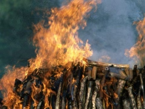 west bengal north 24 pragna notes of 500 rupees collect during last cremation | जळत्या चितेतून पडू लागल्या 500-500 च्या नोटा; उशीतून रहस्य उलगडलं, नेमकं काय घडलं? west bengal north 24 pragna notes of 500 rupees collect during last cremation | जळत्या चितेतून पडू लागल्या 500-500 च्या नोटा; उशीतून रहस्य उलगडलं, नेमकं काय घडलं?