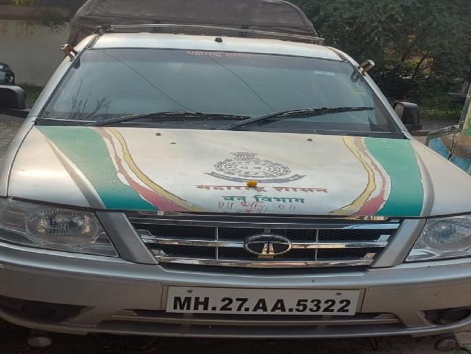 A wave of scrapped vehicles in the forest department, spread of forest protection | वन विभागात भंगार वाहनांचा डोलारा, जंगल संरक्षणाचा पसारा A wave of scrapped vehicles in the forest department, spread of forest protection | वन विभागात भंगार वाहनांचा डोलारा, जंगल संरक्षणाचा पसारा