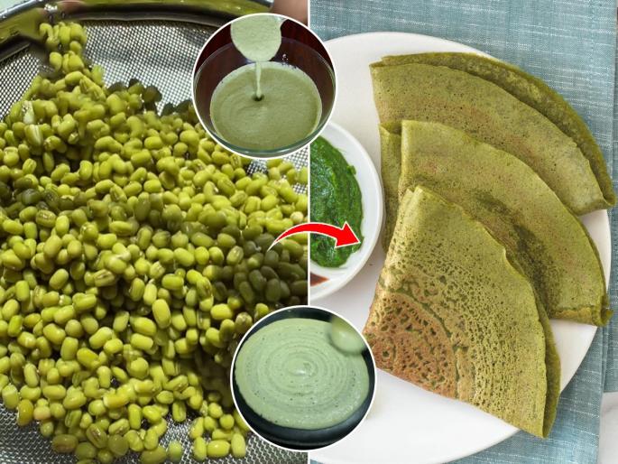 Green Moong Dosa Recipe : Best Way to Eat Moong Easy Green Moong Dosa Recipe in Marathi | १ वाटी हिरव्या मूगाचा करा क्रिस्पी-जाळीदार डोसा; पौष्टीक-चविष्ट डोशांचा नाश्ता बनेल झटपट
