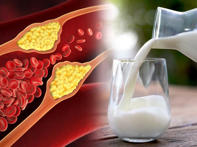 4 drinks that could help lower cholesterol | ४ प्रकारचे पौष्टिक दूध, वाढलेले कोलेस्टेरॉल होईल कमी, रक्ताभिसरण सुधारेल-हार्ट ॲटॅकचा धोका कमी