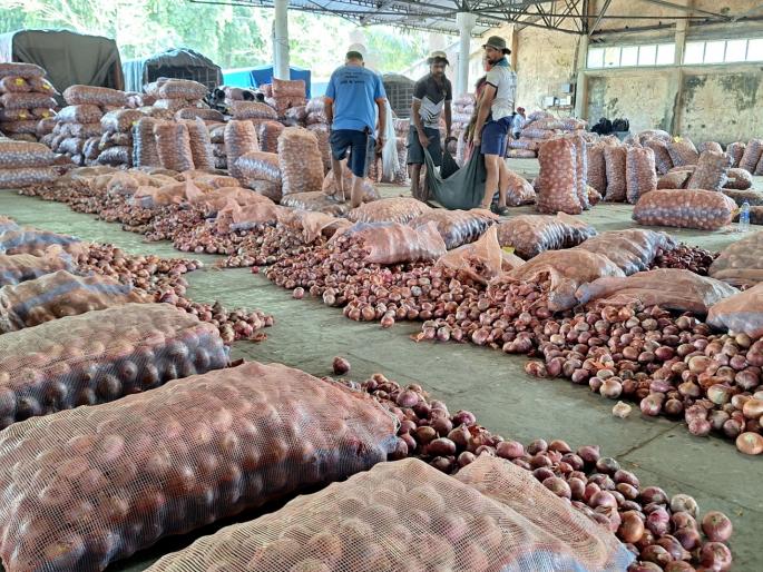 Damage to fruits including onions due to rain, arrival of vegetables continues smoothly | पावसामुळे कांद्यासह फळांचे नुकसान, भाजीपाल्याची आवक सुरळीत सुरू Damage to fruits including onions due to rain, arrival of vegetables continues smoothly | पावसामुळे कांद्यासह फळांचे नुकसान, भाजीपाल्याची आवक सुरळीत सुरू