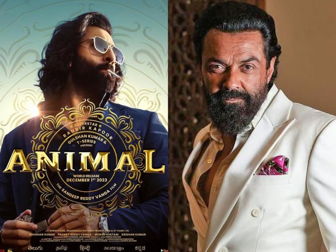 Bobby Deol's reply to Animal movie trolling | 'अॅनिमल'च्या ट्रोलिंगला बॉबी देओलचंं चोख प्रत्युत्तर, म्हणाला - 'सर्वांना आवडेल असा...' Bobby Deol's reply to Animal movie trolling | 'अॅनिमल'च्या ट्रोलिंगला बॉबी देओलचंं चोख प्रत्युत्तर, म्हणाला - 'सर्वांना आवडेल असा...'
