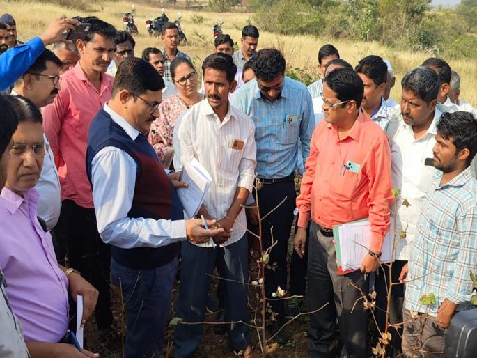 'Only one and a half quintals of cotton were produced this year'; Grievances raised by the farmers before the central team | Video: 'यंदा फक्त दीड क्विंटल कापूस झाला'; केंद्रीय पथकासमोर शेतकऱ्यांनी मांडल्या व्यथा