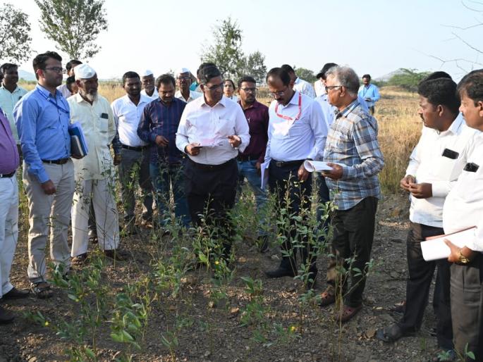 Central team arrived in Solapur, inspection of drought affected crops started | केंद्रीय पथक सोलापुरात दाखल, दुष्काळग्रस्त पिकांची पाहणी सुरू Central team arrived in Solapur, inspection of drought affected crops started | केंद्रीय पथक सोलापुरात दाखल, दुष्काळग्रस्त पिकांची पाहणी सुरू
