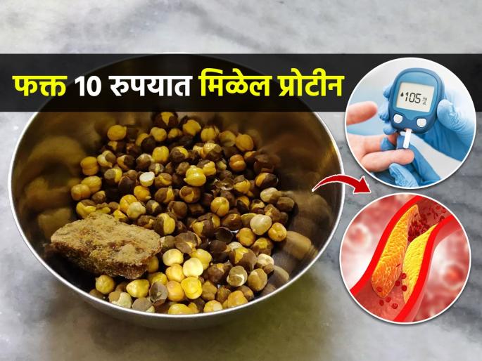Roasted Chana (Chick Peas) A Protein Rich Snack | फक्त १० रुपयांचे फुटाणे खा, प्रोटीन आणि फायबर मिळेल भरपूर, वजनही घटेल लवकर