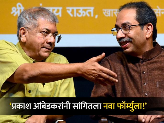 Then we both will contest 24-24 seats Prakash Ambedkar told the new formula lok sabha election | ...तर आम्ही दोघेच २४-२४ जागा लढवणार; प्रकाश आंबेडकरांनी सांगितला नवा फॉर्म्युला