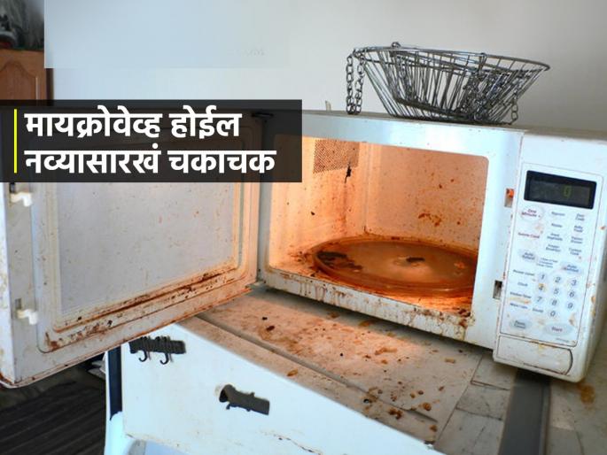 Microwave cleaning hack, How to clean microwave from inside, Simple tips and tricks for cleaning microwave, How to get rid of odour from microwave? | मायक्रोवेव्ह घाण झाले- कुबट वास येतो? ५ मिनिटांचा सोपा उपाय- होईल नव्यासारखं चकाचक