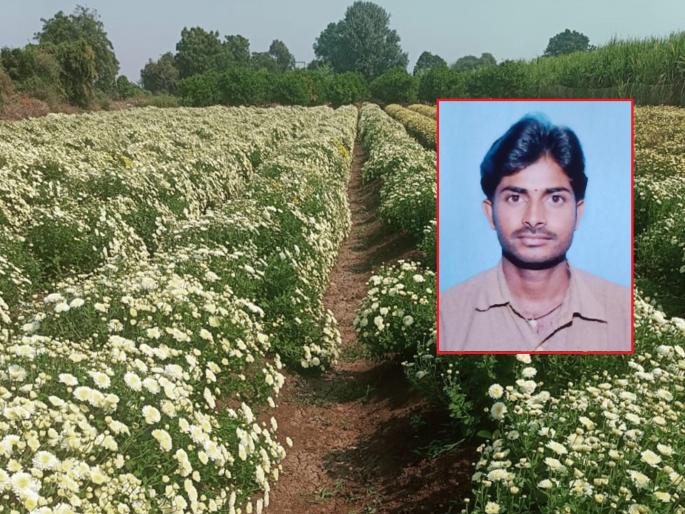 The young farmer earns Income of lakhs from flower farming in just twenty five guntha | तरुण शेतकऱ्याने करून दाखवले; अवघ्या पंचवीस गुंठ्यांत फूलशेतीतून लाखोंचे उत्पन्न The young farmer earns Income of lakhs from flower farming in just twenty five guntha | तरुण शेतकऱ्याने करून दाखवले; अवघ्या पंचवीस गुंठ्यांत फूलशेतीतून लाखोंचे उत्पन्न