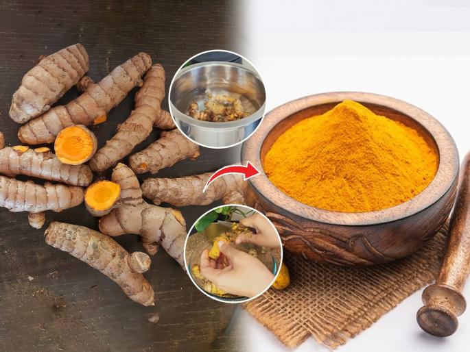 How to make haldi powder at home? Easy and simple recipe of making haldi powder at home, haldi powder making recipe in marathi | विकतच्या हळदीपेक्षाही जास्त सुगंधी आणि शुद्ध हळद घरी तयार करा- एकदम सोपी रेसिपी 
