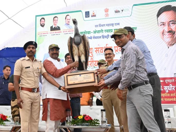 Conservation of environment by Jatayu habitat in Tadoba says Sudhir Mungantiwar | ताडोबातील जटायूच्या अधिवासाने पर्यावरणाचे संरक्षण - सुधीर मुनगंटीवार Conservation of environment by Jatayu habitat in Tadoba says Sudhir Mungantiwar | ताडोबातील जटायूच्या अधिवासाने पर्यावरणाचे संरक्षण - सुधीर मुनगंटीवार