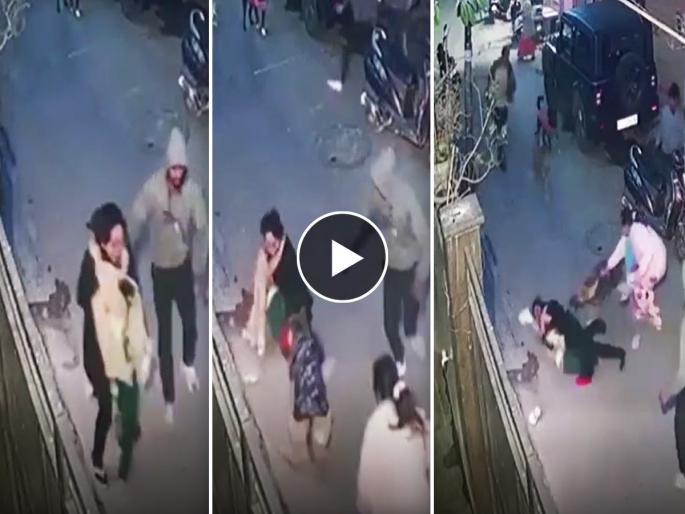 menace of dogs continue in the national capital watch horrowing video | शेवटी आईच ती! जीवाची पर्वा न करता लेकासाठी श्वानासोबत भिडली; धक्कादायक Video व्हायरल menace of dogs continue in the national capital watch horrowing video | शेवटी आईच ती! जीवाची पर्वा न करता लेकासाठी श्वानासोबत भिडली; धक्कादायक Video व्हायरल