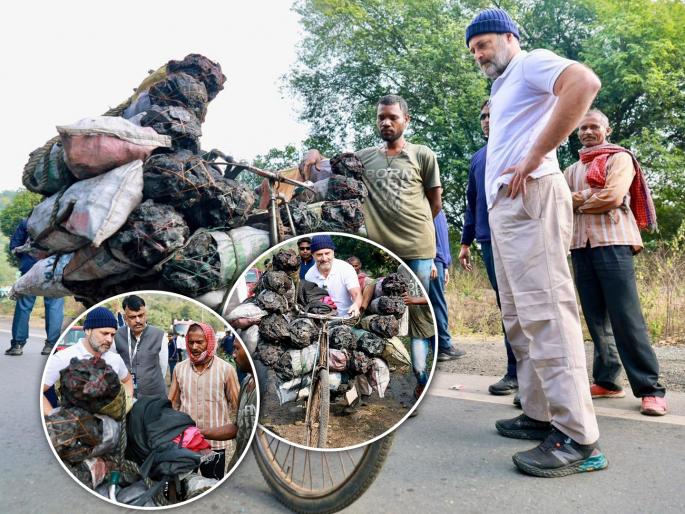 Congress Rahul Gandhi bharat jodo nyay yatra in ranchi ramgarh coal workers | Rahul Gandhi : "कमाई किती करता?", राहुल गांधींचा कोळसा वाहून नेणाऱ्या मजुरांशी संवाद, चालवली सायकल Congress Rahul Gandhi bharat jodo nyay yatra in ranchi ramgarh coal workers | Rahul Gandhi : "कमाई किती करता?", राहुल गांधींचा कोळसा वाहून नेणाऱ्या मजुरांशी संवाद, चालवली सायकल
