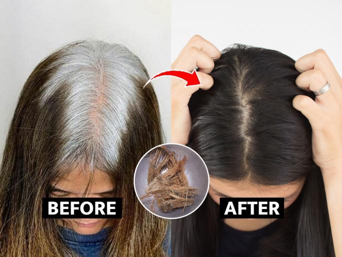 How to make black hair with coconut shells? | केमिकल डायमुळे केस गळतात? करून पाहा नारळाच्या शेंड्यांचा वापर; केसांवर चढेल नैसर्गिक रंग