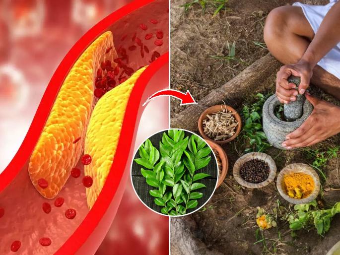 Foods To Help Lower LDL ('Bad') Cholesterol | ४ हिरवीगार पानं करतील बॅड कोलेस्टेरॉल कमी, न चुकता खा- हार्ट राहील ठणठणीत
