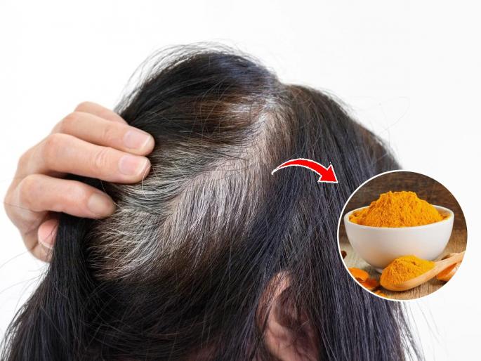 Turmeric Powder For Grey Hair : How To Turmeric Can Help Combat Early Frey Hairs | केस फक्त वरून काळे आतून पांढरे झालेत? १ चमचा हळदीची जादू, काळेभोर-दाट होतील केस
