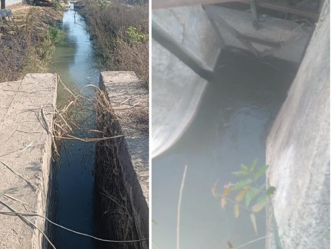 Crops were harvested, without administration taking decisions; Angry farmers released the canal water themselves | पिके करपून चालली, प्रशासन निर्णय घेईना; संतप्त शेतकऱ्यांनी स्वतःच सोडले कालव्याचे पाणी Crops were harvested, without administration taking decisions; Angry farmers released the canal water themselves | पिके करपून चालली, प्रशासन निर्णय घेईना; संतप्त शेतकऱ्यांनी स्वतःच सोडले कालव्याचे पाणी
