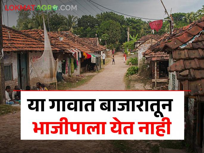From natural farming, the village became a 'hub' in vegetable production. | नैसर्गिक शेतीतून भाजीपाला उत्पादनात गाव बनले 'हब' From natural farming, the village became a 'hub' in vegetable production. | नैसर्गिक शेतीतून भाजीपाला उत्पादनात गाव बनले 'हब'