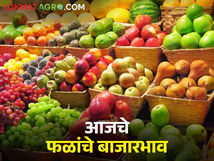 Latest News Todays Fruit Market Price In maharashtra bajar samiti | Fruit Market : केळीची आवक वाढली, द्राक्षांच्या दरात चढ-उतार कायम, आजचे फळांचे बाजारभाव Latest News Todays Fruit Market Price In maharashtra bajar samiti | Fruit Market : केळीची आवक वाढली, द्राक्षांच्या दरात चढ-उतार कायम, आजचे फळांचे बाजारभाव