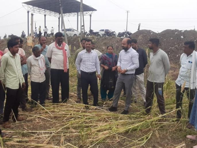 Collector, SAO on farm embankment; Inspected for crop damage | जिल्हाधिकारी, एसएओ शेताच्या बांधावर; पीक नुकसानाची केली पाहणी