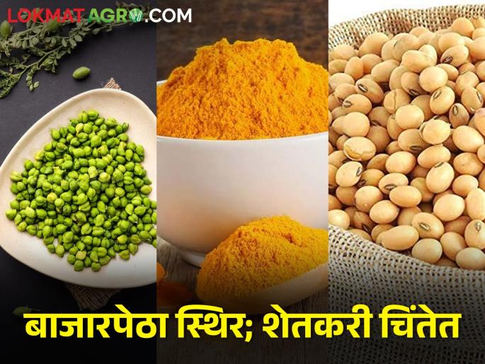 gram, turmeric, soybeans market rate constant | हरभरा, हळद, सोयाबीन आवक वाढली; मात्र दर जैसे थे gram, turmeric, soybeans market rate constant | हरभरा, हळद, सोयाबीन आवक वाढली; मात्र दर जैसे थे