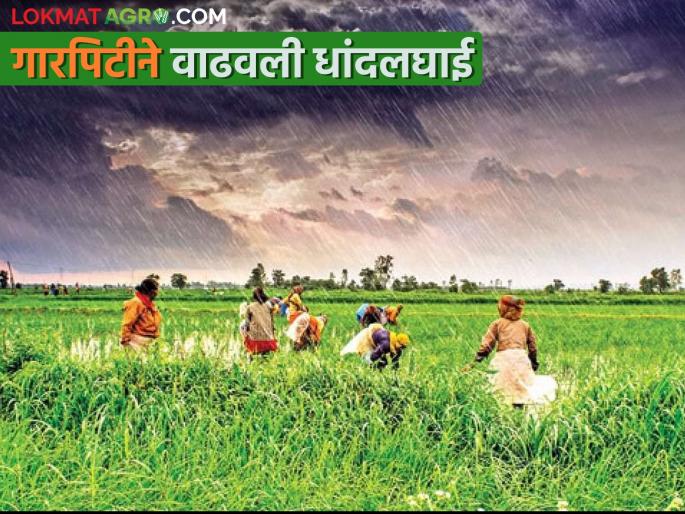 farmers increase difficulties due to hailstorm | हाती येईल ते वाचवा; गारपीटीने शेतकर्यांची पळपळ farmers increase difficulties due to hailstorm | हाती येईल ते वाचवा; गारपीटीने शेतकर्यांची पळपळ