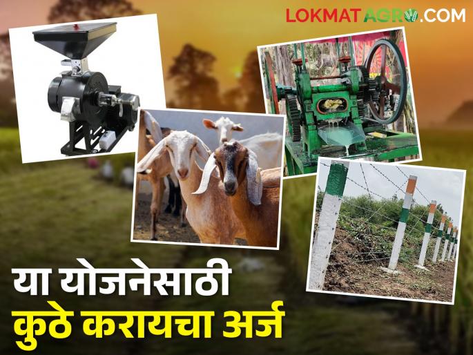 Subsidy for sugarcane juicer, wire fence, goat group and flour mill | रसवंती, तार कुंपण, शेळीगट व पीठ गिरणीसाठी मिळणार अनुदान Subsidy for sugarcane juicer, wire fence, goat group and flour mill | रसवंती, तार कुंपण, शेळीगट व पीठ गिरणीसाठी मिळणार अनुदान
