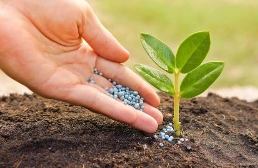 Demand for 91 thousand metric tons of fertilizers for Kharipa, Dist. W. Planning of Chemical Fertilizers by Agriculture Department | खरिपासाठी ९१ हजार मेट्रिक टन खतांची मागणी, जि. प. कृषी विभागाकडून रासायनिक खतांचे नियोजन