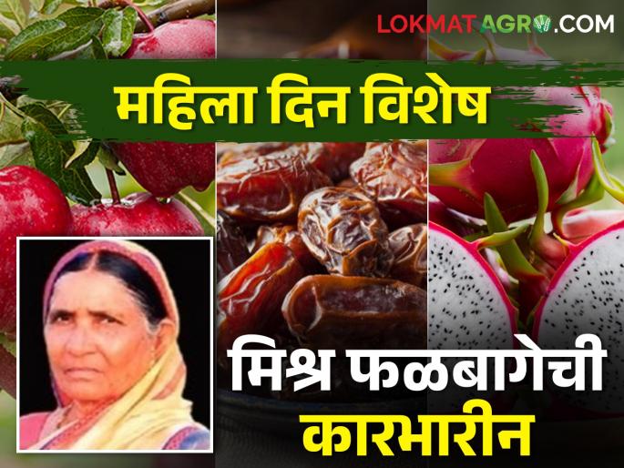 Dragan date apples; Modern Farming of Beed's Woman | Success Story : अंगठेबहाद्दर महिला शेतकऱ्याने फुलवली ड्रॅगन, खजूर अन् सफरचंदाची शेती, वाचा प्रेरणादायी यशकथा