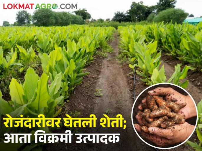 Success Story: The farmer of Parbhani did not make noise in turmeric and ginger | Success Story : हळद आणि आल्यात या परभणीच्या शेतकर्‍याचा नाद नाही करायचा