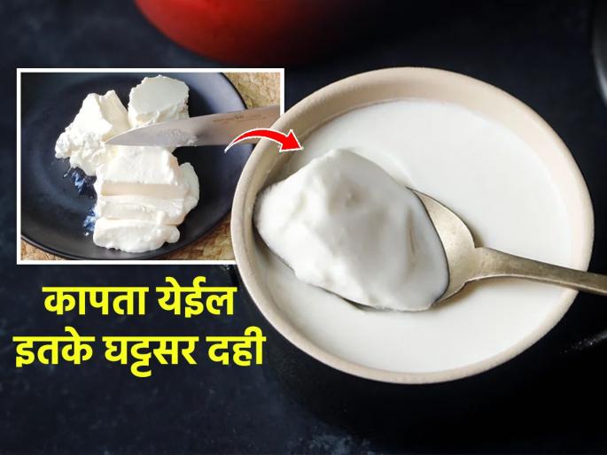 Homemade Curd Recipe - Tips & Tricks To Make Curd at Home | विकतसारखे दही घरात तयार होते? एक जबरदस्त टीप; पाणी न सुटता - गोडसर दही होईल तयार..