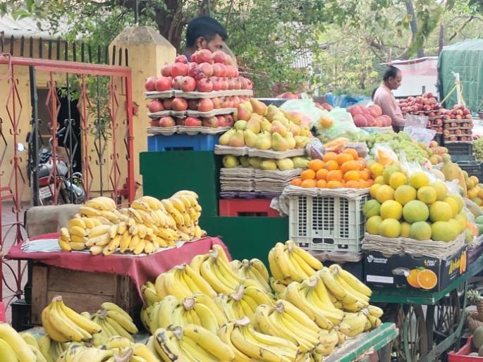 fruits rate increase in alibag | थंडावा देणाऱ्या फळांमुळे फुटला घाम