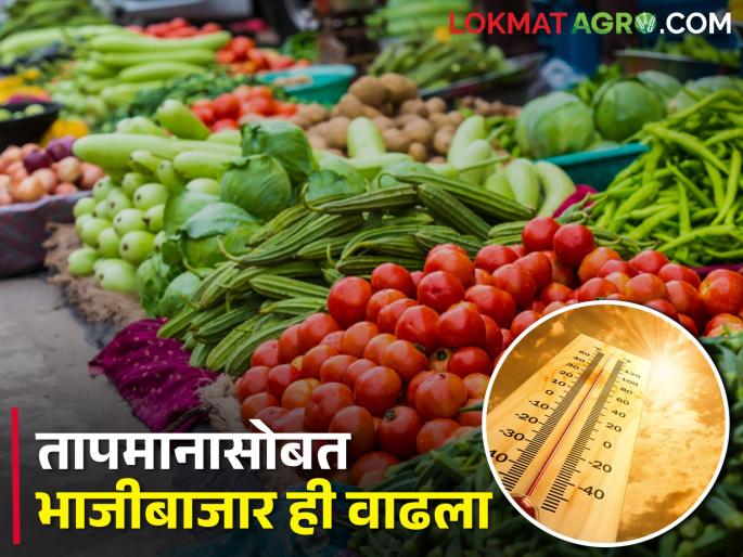 Coriander prices doubled: 'Cluster bean' could not be found in the market | कोथिंबीरचे दर दुपटीने वाढले : बाजारात 'गवार' शोधूनही सापडेना