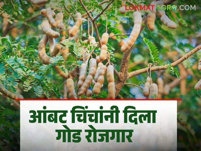 During the summer days, women got work at home | उन्हाळ्याच्या दिवसात महिलांच्या हाताला मिळाले घरबसल्या काम During the summer days, women got work at home | उन्हाळ्याच्या दिवसात महिलांच्या हाताला मिळाले घरबसल्या काम