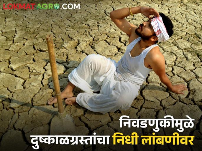 Drought Victims' Fund Under Code of Conduct; Farmers in trouble | दुष्काळग्रस्तांचा निधी आचारसंहितेच्या कचाट्यात; शेतकरी अडचणीत Drought Victims' Fund Under Code of Conduct; Farmers in trouble | दुष्काळग्रस्तांचा निधी आचारसंहितेच्या कचाट्यात; शेतकरी अडचणीत