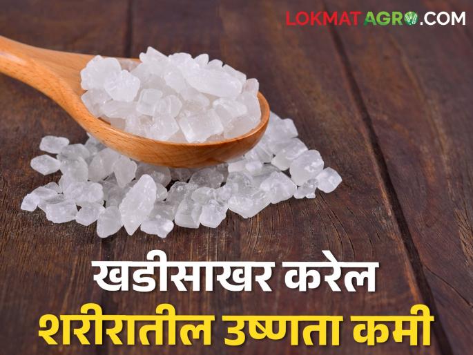 Summer mercury has increased, farmers brothers, take care of your health | उन्हाचा पारा वाढला, शेतकरी बांधवानो आरोग्य सांभाळा